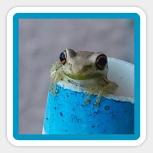 Froggie 2 Sticker